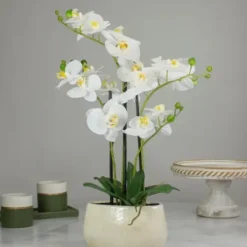 Arrangements & Greenery-Kirkland's Home White Orchid In Round Ceramic Bowl White/Green