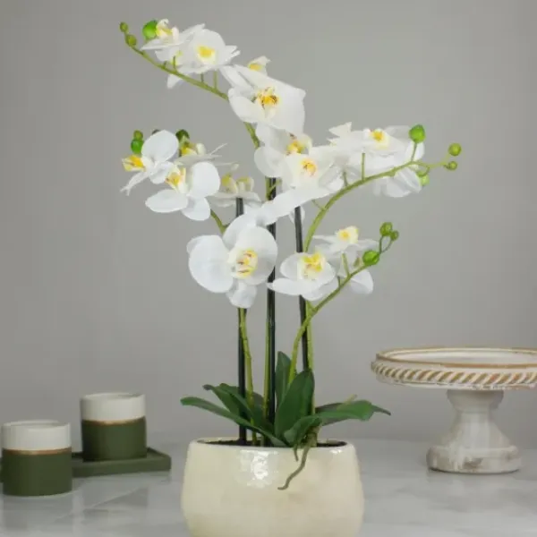 Arrangements & Greenery-Kirkland's Home White Orchid In Round Ceramic Bowl White/Green