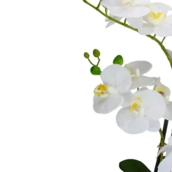 Arrangements & Greenery-Kirkland's Home White Orchid In Round Ceramic Bowl White/Green