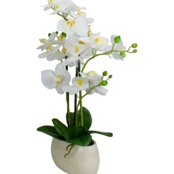 Arrangements & Greenery-Kirkland's Home White Orchid In Round Ceramic Bowl White/Green