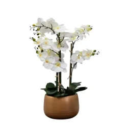 Arrangements & Greenery-Kirkland's Home White Real Touch Orchid Arrangement In Gold Pot White/Gold