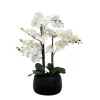 Arrangements & Greenery-Kirkland's Home White Real Touch Orchid Arrangement In Black Pot White/Black