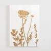 Wall Plaques-Kirkland's Home White Wood Botanical I Wall Plaque White/Brown