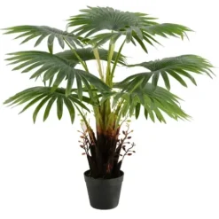 Trees & Topiaries-Kirkland's Home Wide Reach Tree Fern In Black Planter