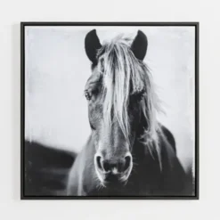 Framed Art-Kirkland's Home Wild Horse Framed Canvas Art Print Black/White