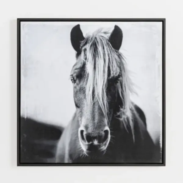 Framed Art-Kirkland's Home Wild Horse Framed Canvas Art Print Black/White