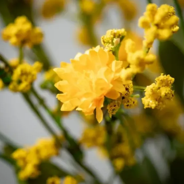 Wreaths-Kirkland's Home Wildflower Wreath Yellow