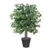 Trees & Topiaries-Kirkland's Home Wood Trunk Ficus Bush In Rattan Basket