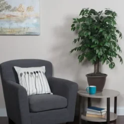 Trees & Topiaries-Kirkland's Home Wood Trunk Ficus Bush In Rattan Basket