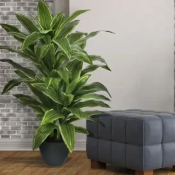 Trees & Topiaries-Kirkland's Home Yucca Natural Touch Plant, 42 In.