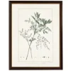 Framed Art-Kirkland's Home Zanthorhiza Greenery Black Beaded Framed Art Print Ivory/Green